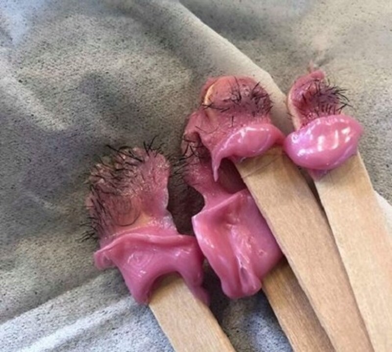 鼻毛はごっそりととれ、鼻通りもスッキリ!