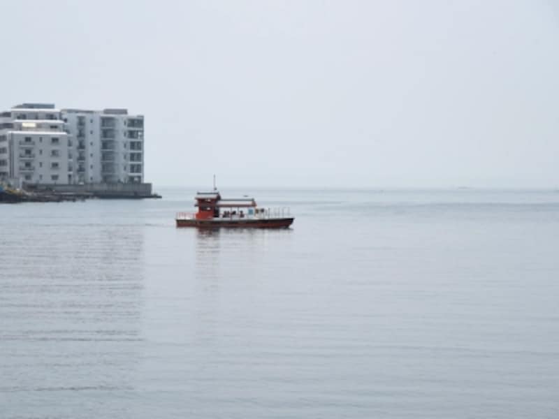 屋形船のような見た目の小さな渡し船が、両岸を行ったり来たり