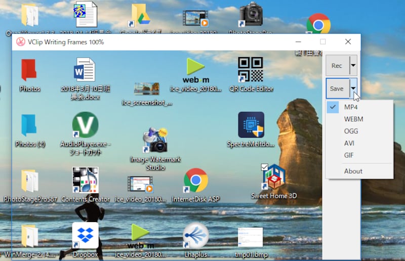 作成する動画ファイル形式を指定できる