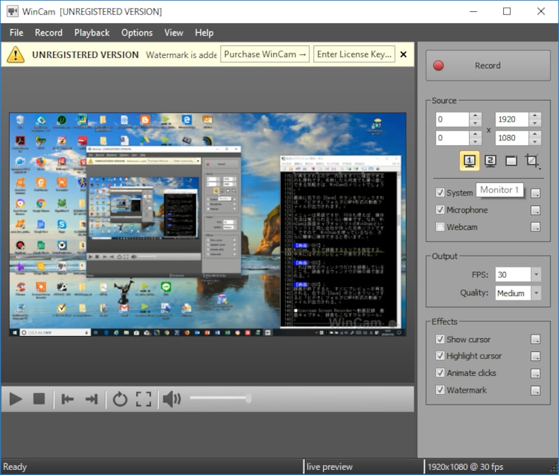 WinCam。右上で録画するエリアを指定する。中央にはそのブレビューが表示される