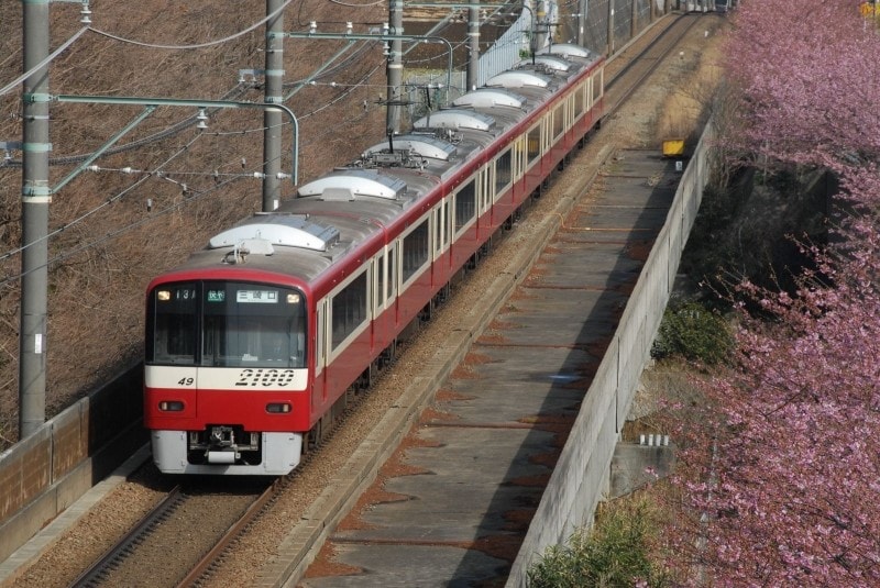 早春、河津桜満開の頃、快特が走る