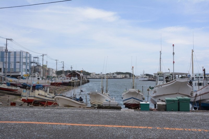 漁船が停泊する三崎港