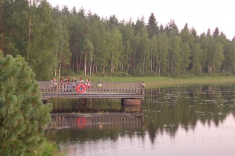 フィンランド人と森