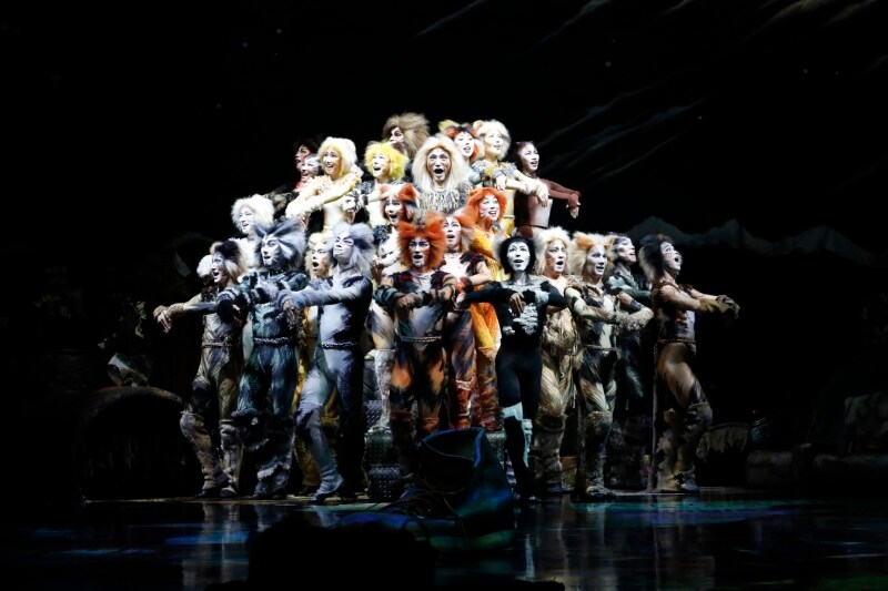 『キャッツ』撮影：下坂敦俊