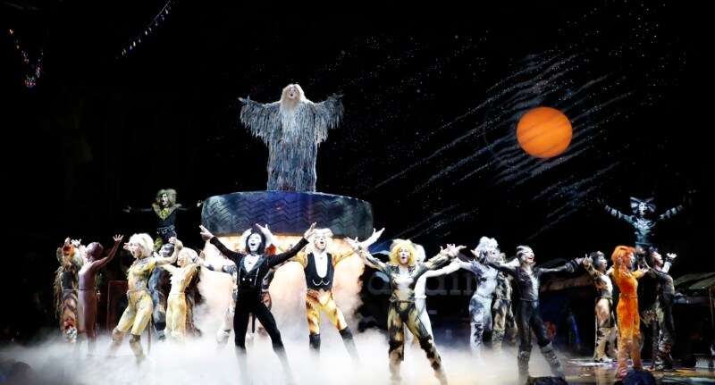 『キャッツ』撮影：下坂敦俊