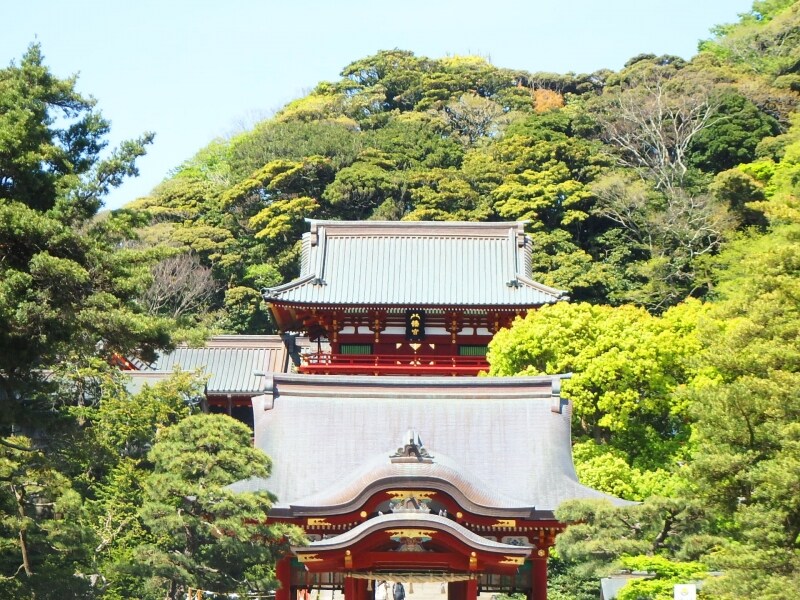 緑に包まれた鶴岡八幡宮