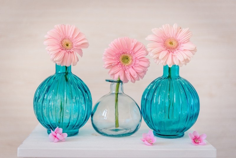 一人暮らし向けおすすめプレゼント:花+花瓶