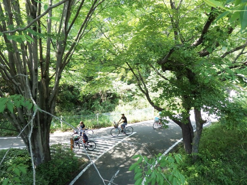 全長約17キロのサイクリングコース