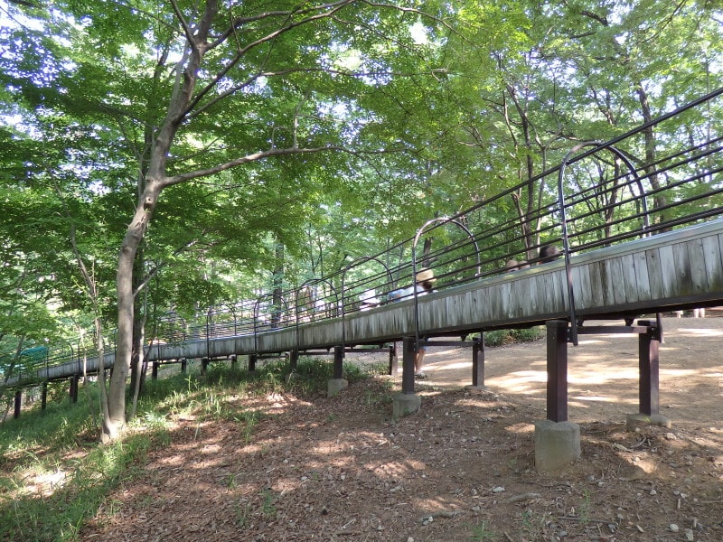 延々と続く雑木林をすり抜ける滑り台
