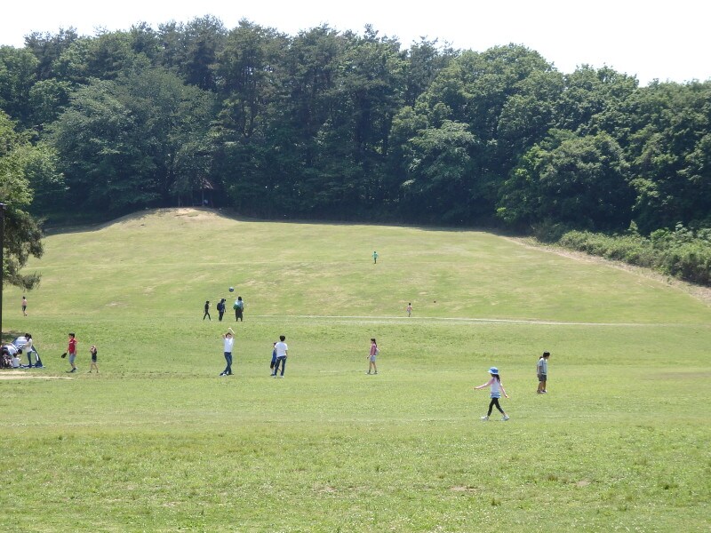 園内最大の芝生広場の運動広場