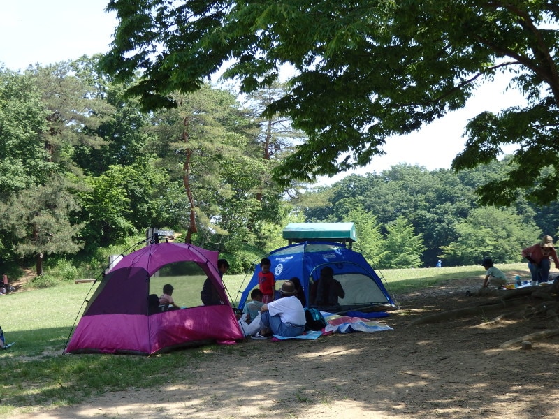 運動広場を囲むテント