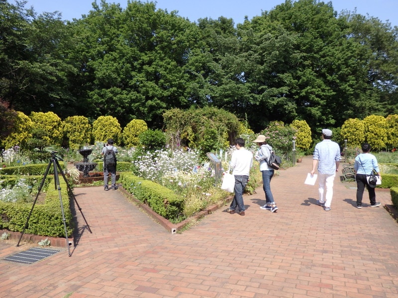 アロマな香りが漂うハーブガーデン