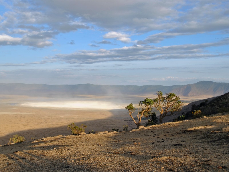 ンゴロンゴロ・クレーターの火口壁