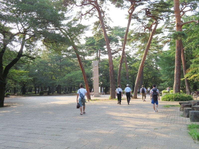 日本の都市公園100選に数えられる大宮公園