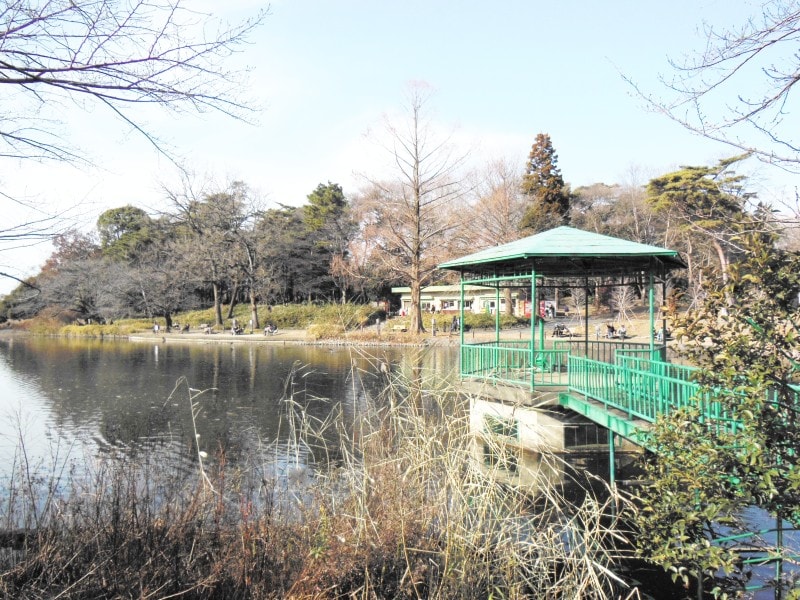 見沼の湿地帯を整備した大宮公園内の舟遊池