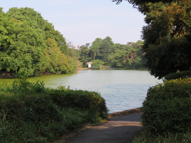 ピクニック気分が味わえる舟遊池を囲む遊歩道