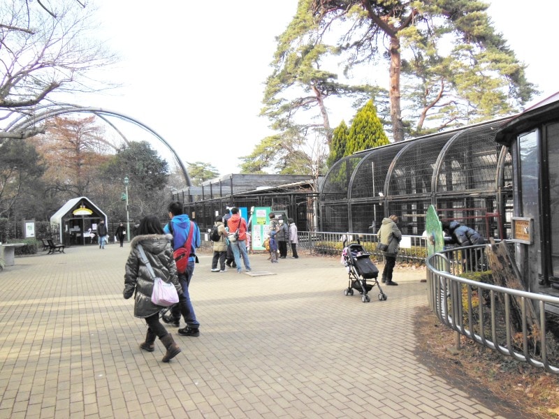 様々な小さな動物が飼育される小動物園