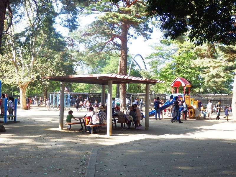 大宮公園の児童遊園地に設置された遊具