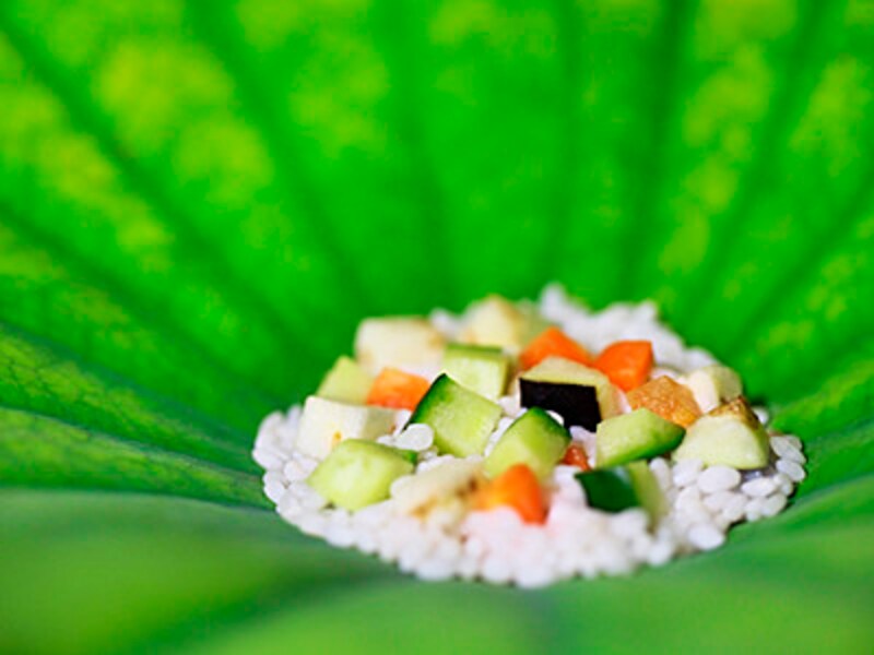 最高 お盆 野菜 動物 ngantuoisoneo5