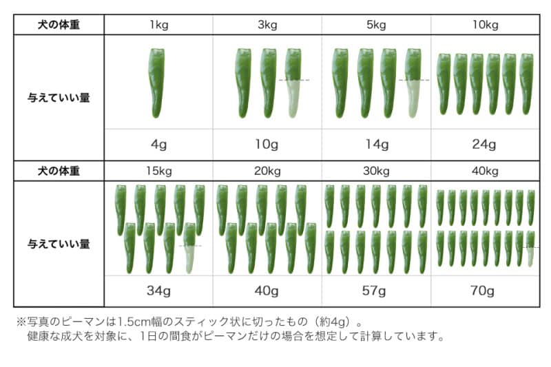 犬 ピーマン パプリカ 食べていい 食べちゃった 与えていい 量 食べちゃだめ