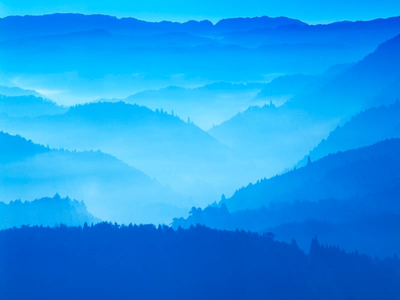 青が好きな人は、夢を叶えるために、計画的に貯蓄や運用に取り組む傾向があります