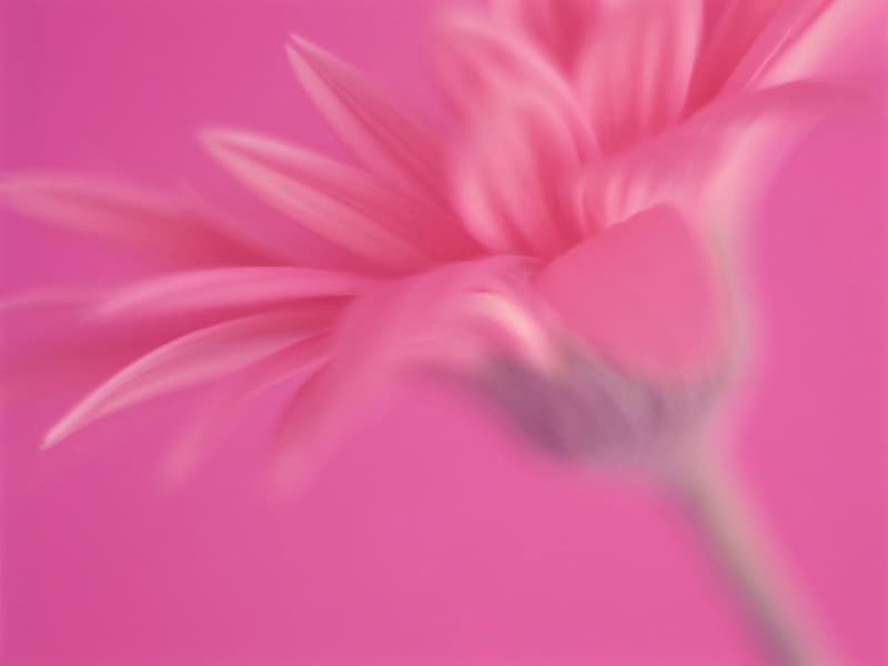 ピンクが好きな人は、収支全体を見直してみると、意外な無駄遣いに気づくかも?