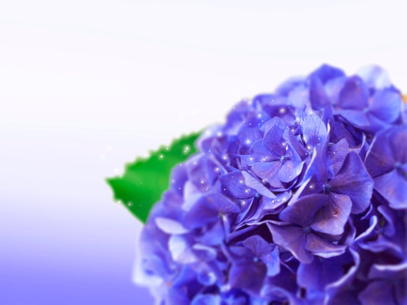 紫が好きな人は、臨時収入が入ったときに、投資を始めるとよいかも?