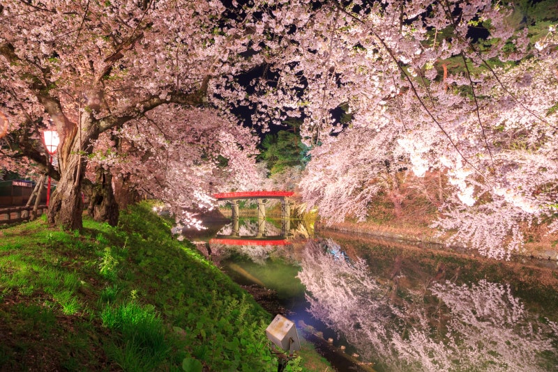 青森 観光 季節 春 弘前さくらまつり