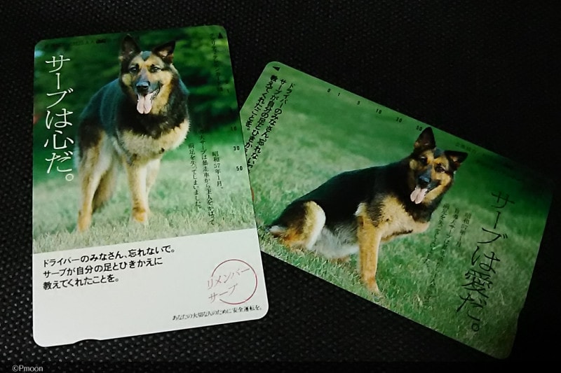 盲導犬サーブのテレホンカード
