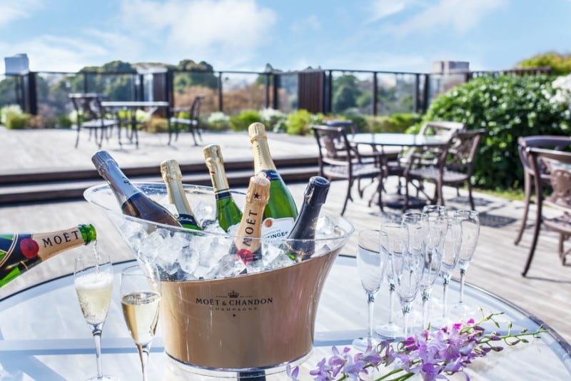 椿山荘 シャンパンガーデン