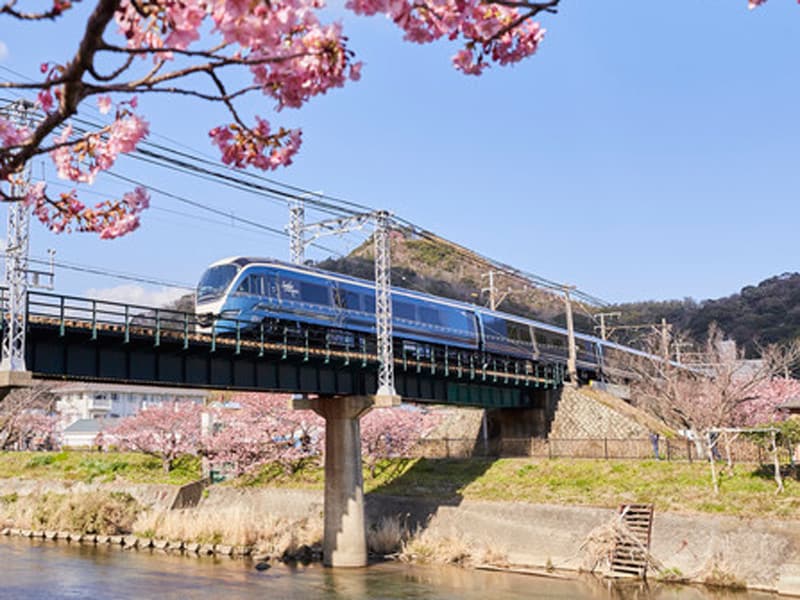 「サフィール踊り子」(画像はプレスリリースより)