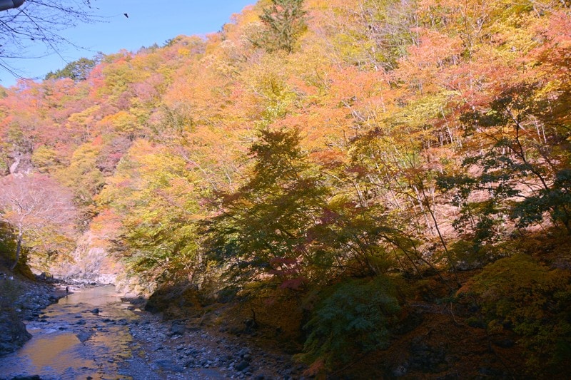 中津峡の相原橋周辺の紅葉（撮影2014年11月3日）