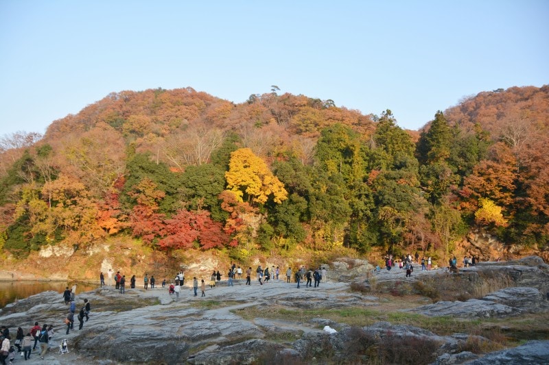 秋の化粧をする長瀞岩畳(撮影2014年11月24日)