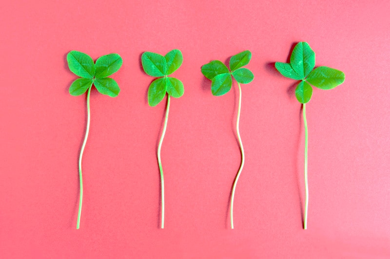 お片付けをスムーズに進める4つのコツ