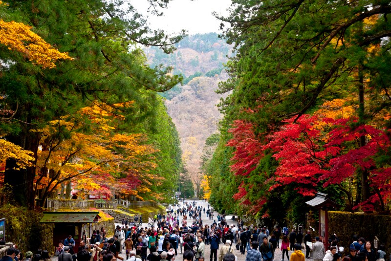 紅葉を見ながら東照宮に向かう参道