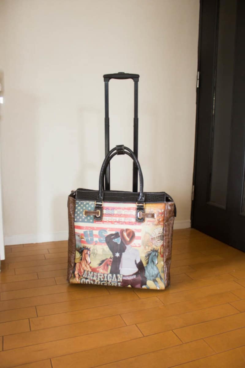 「キャリーケースタイプ」のバッグをチョイス