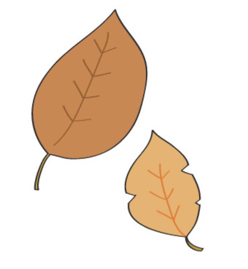 秋　イラスト　落ち葉　カラー　かわいい