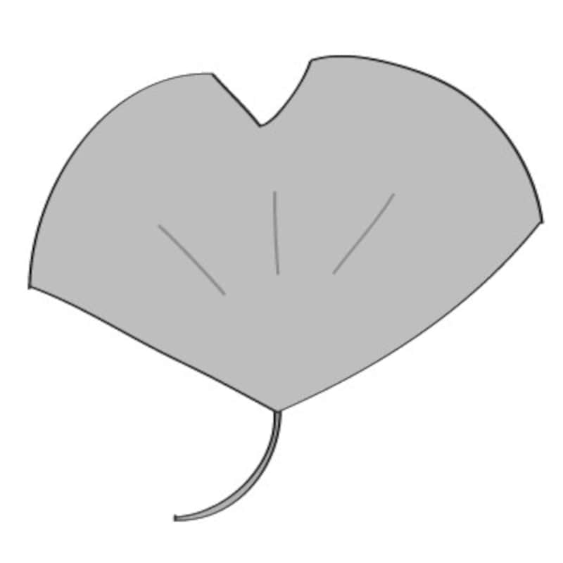 秋　イラスト　イチョウ　白黒　かわいい