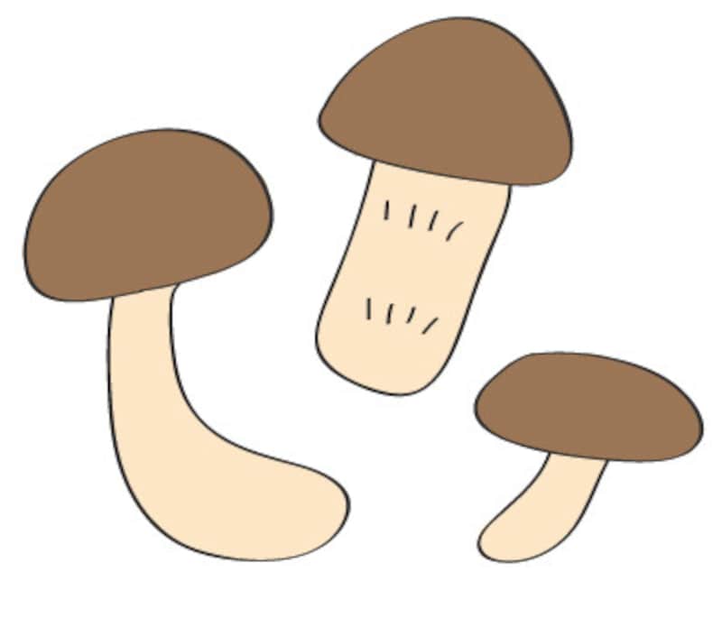 秋　イラスト　きのこ　カラー　かわいい