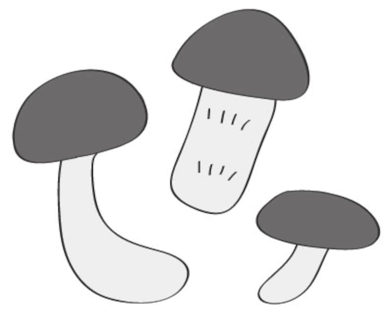 秋　イラスト　きのこ　白黒　かわいい