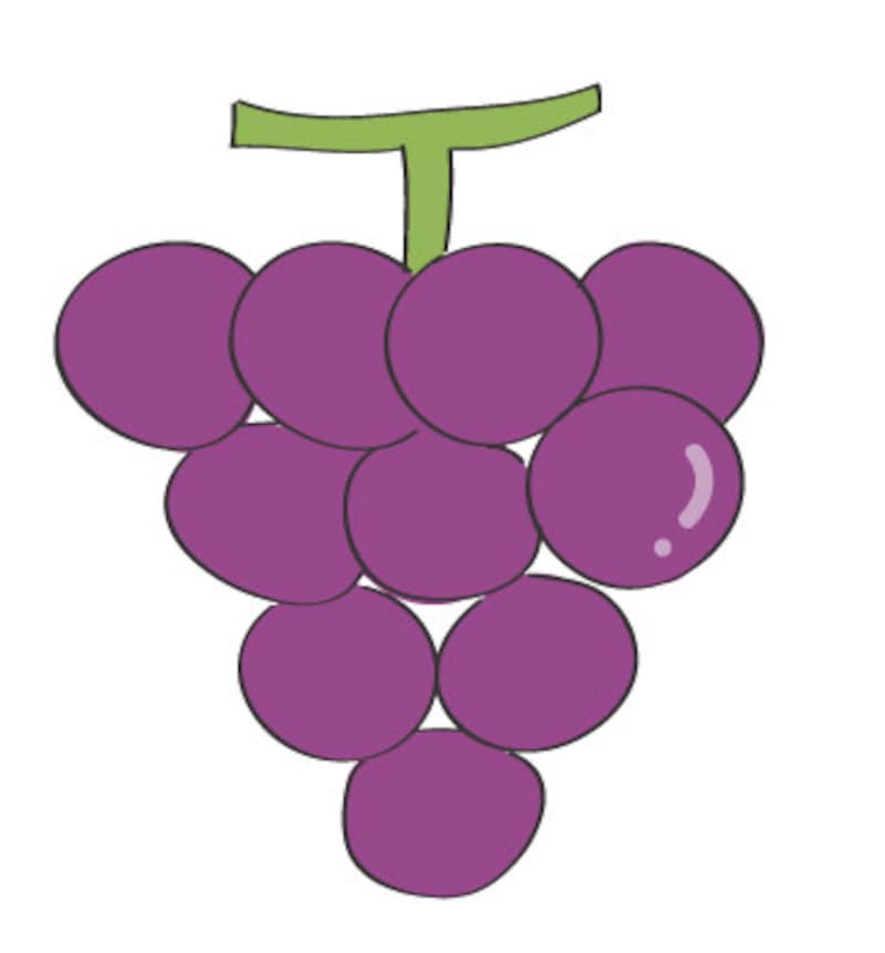 秋　イラスト　ぶどう　カラー　かわいい