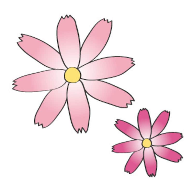 秋　イラスト　コスモス　カラー　かわいい