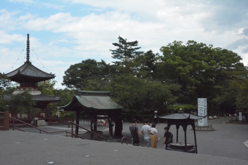 数々の伽藍がバランスよく並ぶ喜多院の境内