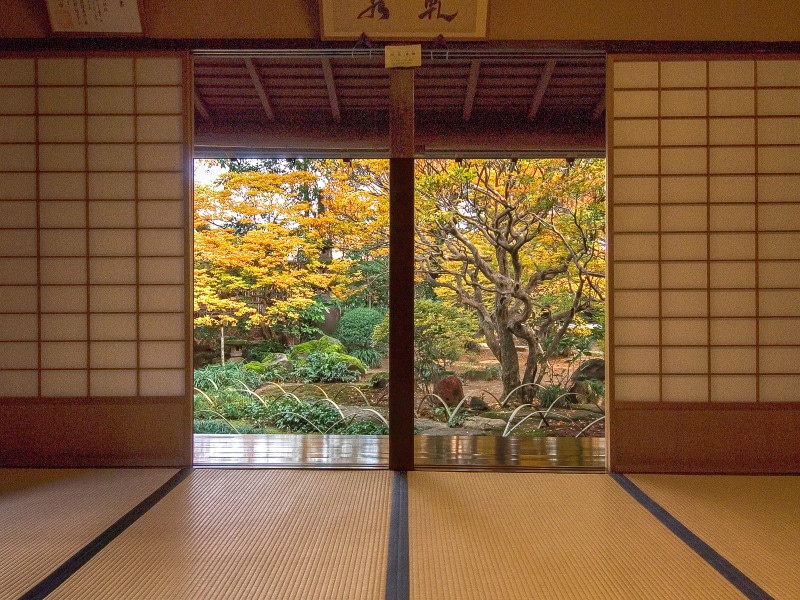 ドウダンツツジ@寺嶋蔵人邸