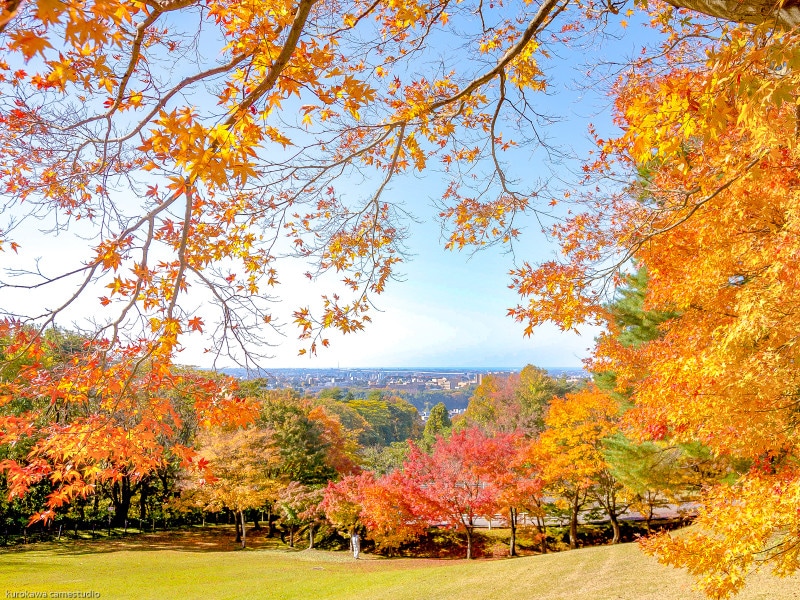 紅葉@卯辰山公園