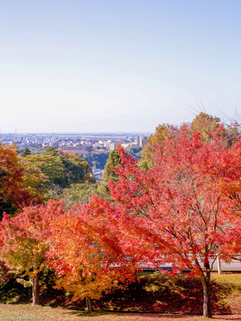 紅葉@卯辰山公園