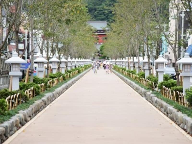 鶴岡八幡宮の正式な参道である「段葛」。正面には鶴岡八幡宮の三の鳥居が見える