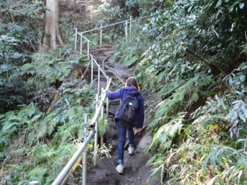 大仏・葛原ヶ丘ハイキングコース