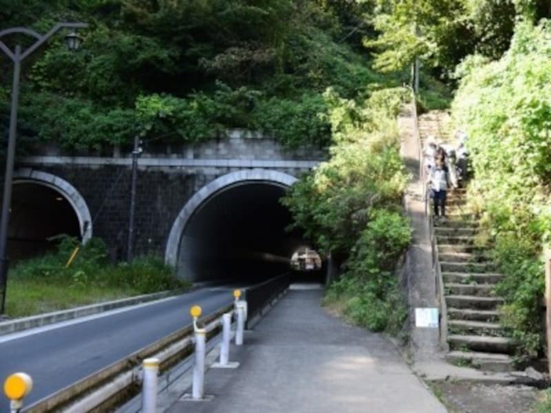 大仏・葛原ヶ丘ハイキングコースの終点