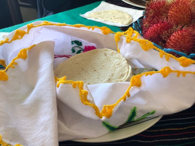 メキシコ　カカオ